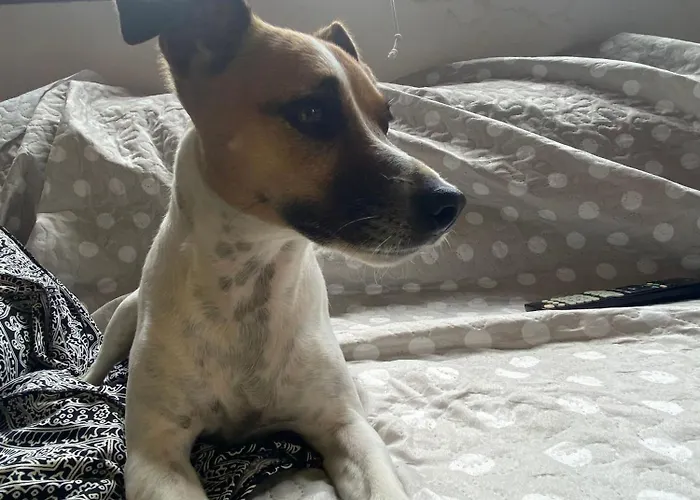 木屋 Lakeview Chalet, Drligen