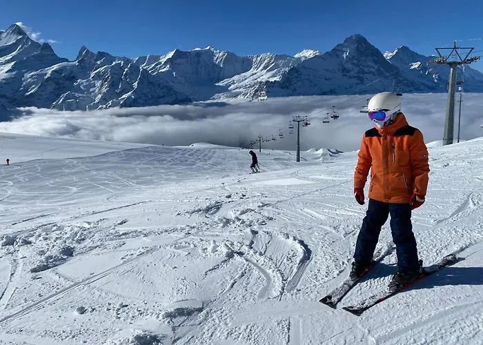 View , Drligen Alpesi faház *